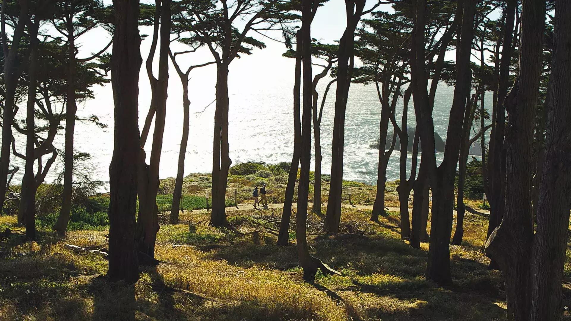 徒步旅行者沿着土地尽头小径的一段树木繁茂的路段行走, com o Oceano Pacífico ao fundo.