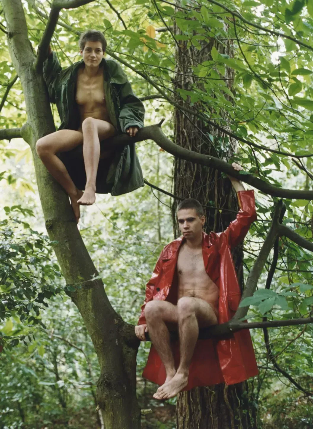 沃尔夫冈·蒂尔曼斯，1992年，卢茨 & 亚历克斯坐在树上