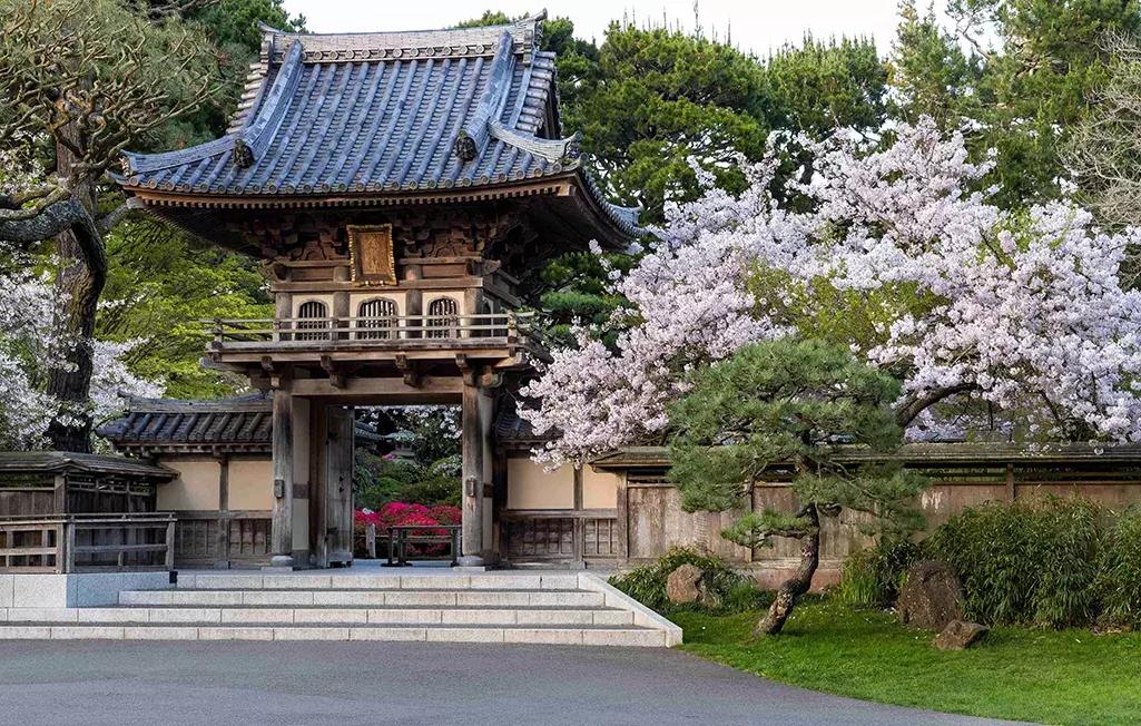 日本 Tea Garden Entrance