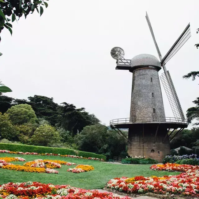 Holländische Windmühle im Golden Gate Park